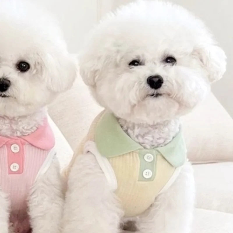 Summer Dog Polo Shirt Fashion Dog Clothes Breathable Puppy Vest Cat Solid T-Shirt Clothing Pet Vest York Chihuahua Dog Clothes