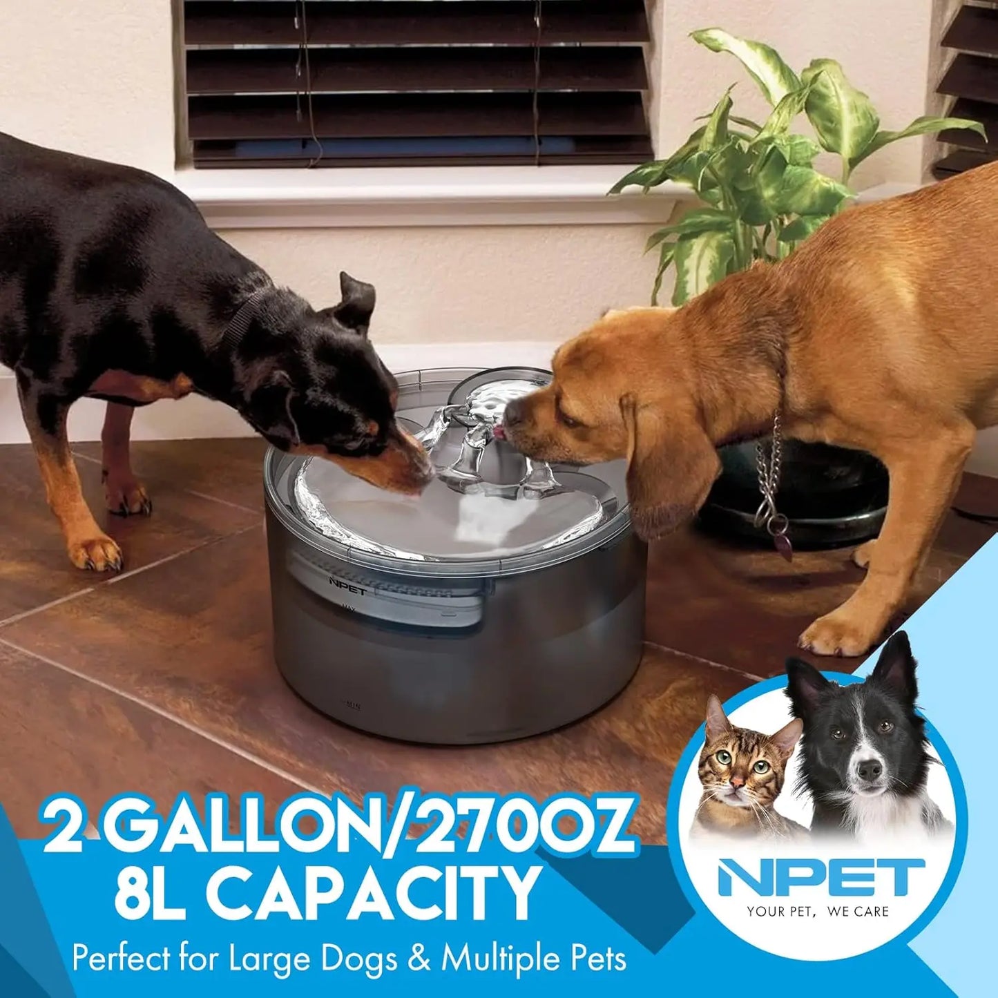 NPET DF30 Dog Water Fountain, 2 Gallon/270oz/8L Large Automatic Dog Water bowl with Splatter Guard for Large Dogs