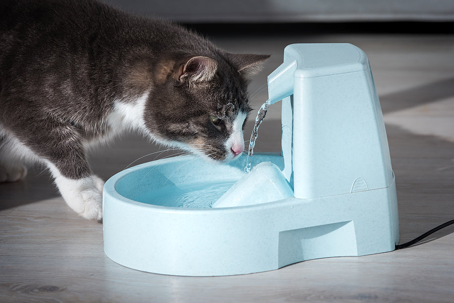 Water Fountain